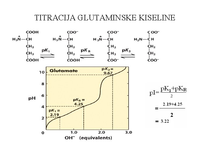 TITRACIJA GLUTAMINSKE KISELINE 