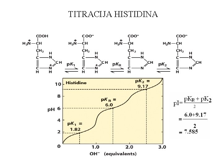 TITRACIJA HISTIDINA 