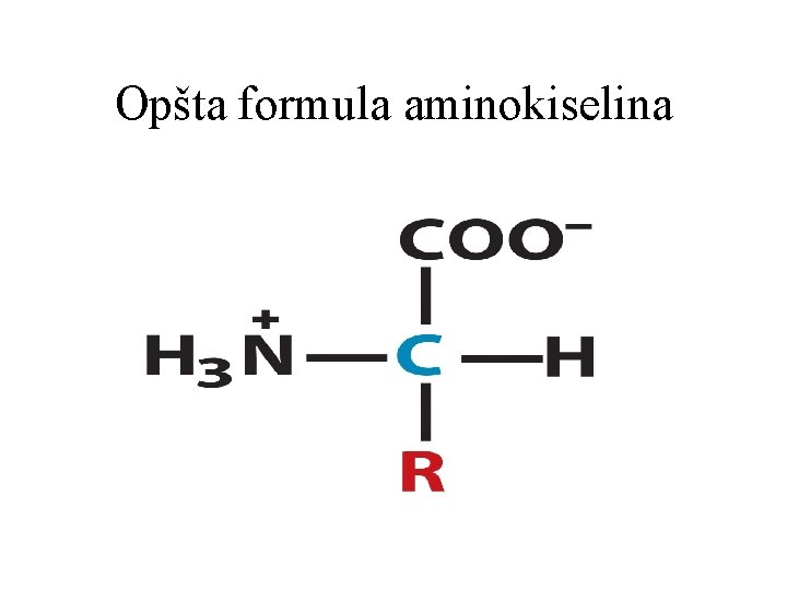 Opšta formula aminokiselina 