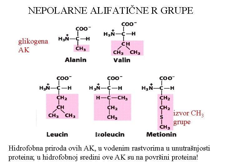 NEPOLARNE ALIFATIČNE R GRUPE glikogena AK izvor CH 3 grupe Hidrofobna priroda ovih AK,