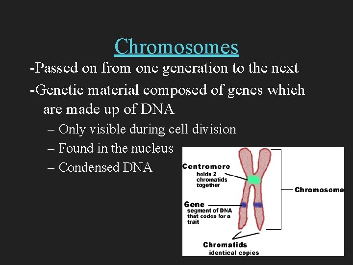 Chromosomes -Passed on from one generation to the next -Genetic material composed of genes