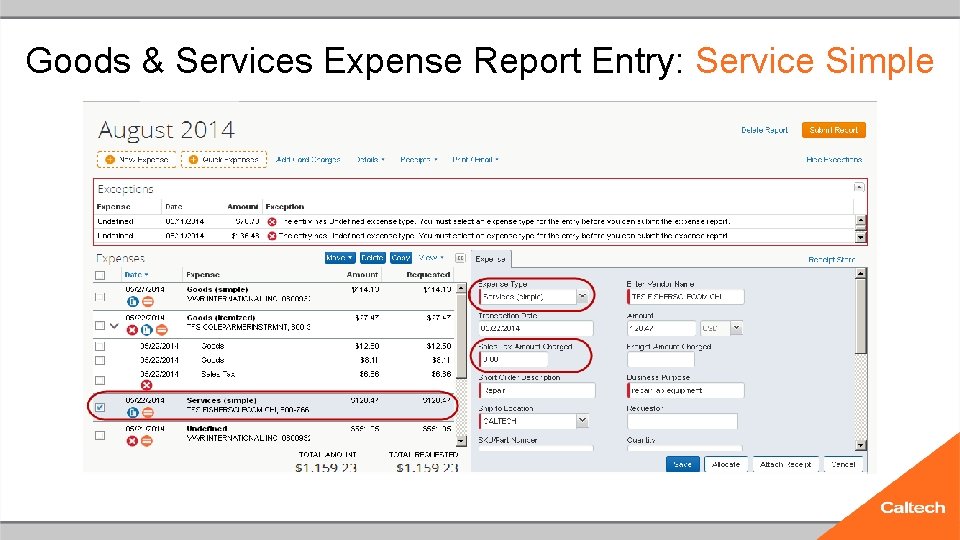 Goods & Services Expense Report Entry: Service Simple 