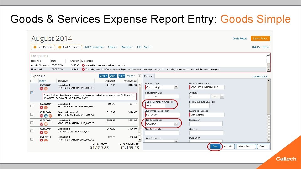 Goods & Services Expense Report Entry: Goods Simple 