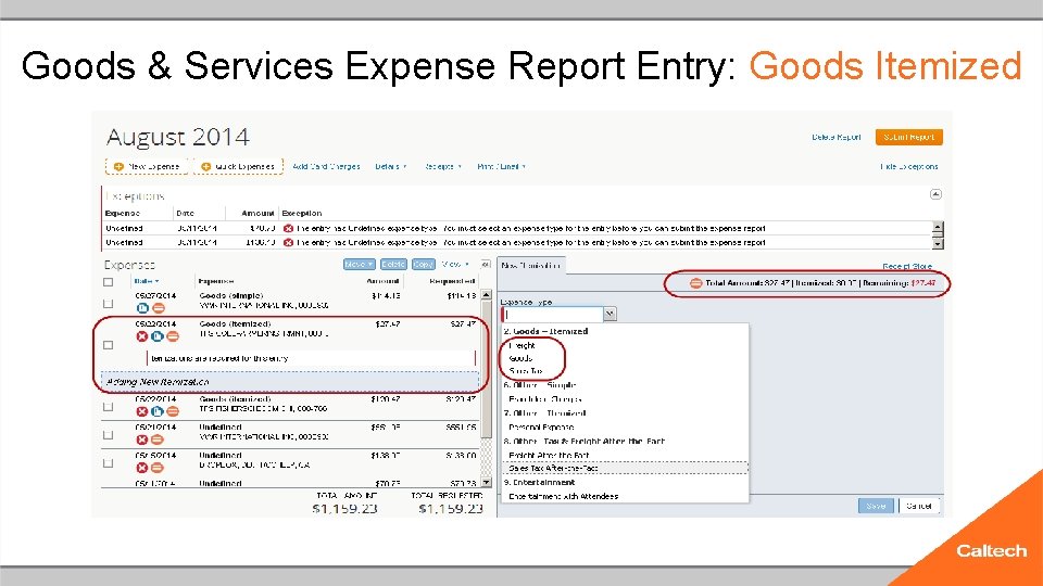 Goods & Services Expense Report Entry: Goods Itemized 