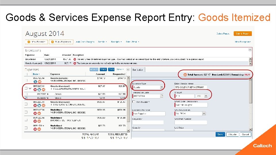 Goods & Services Expense Report Entry: Goods Itemized 