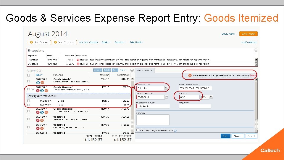 Goods & Services Expense Report Entry: Goods Itemized 