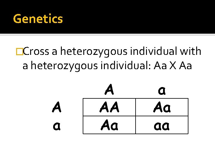 Heterozygous = Aa, or a. A Genetics �Cross a heterozygous individual with a heterozygous