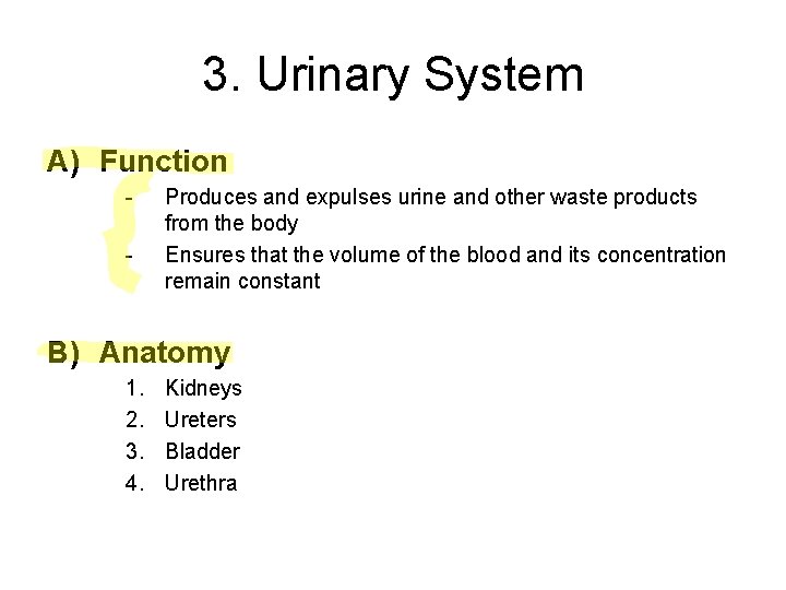 3. Urinary System A) Function - Produces and expulses urine and other waste products 3. Urinary System A) Function - Produces and expulses urine and other waste products