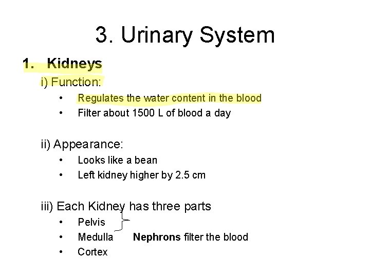3. Urinary System 1. Kidneys i) Function: • • Regulates the water content in 3. Urinary System 1. Kidneys i) Function: • • Regulates the water content in
