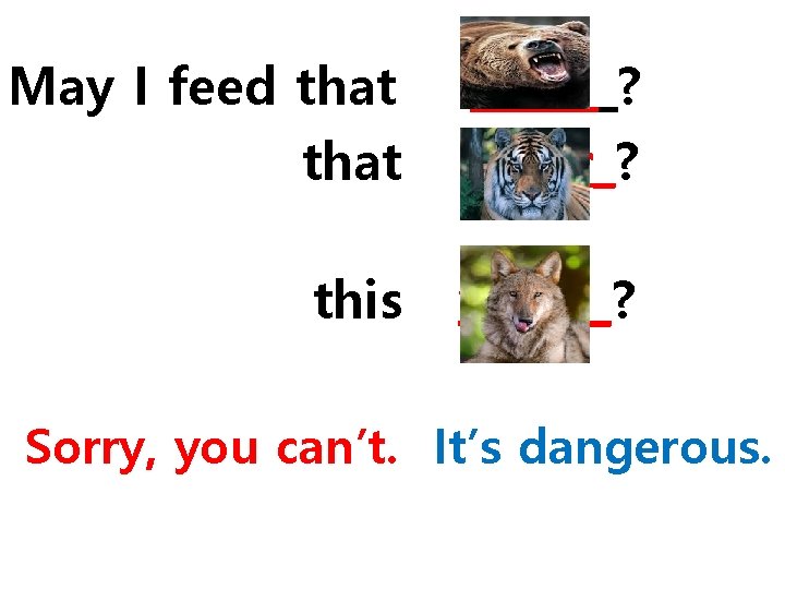 May I feed that bear ? tiger_? this wolf__? Sorry, you can’t. It’s dangerous. May I feed that bear ? tiger_? this wolf__? Sorry, you can’t. It’s dangerous.