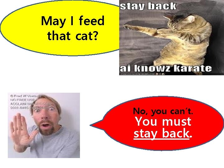 May I feed that cat? No, you can’t. You must stay back. May I feed that cat? No, you can’t. You must stay back.