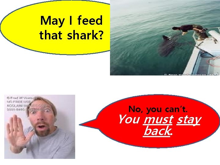 May I feed that shark? No, you can’t. You must stay back. May I feed that shark? No, you can’t. You must stay back.