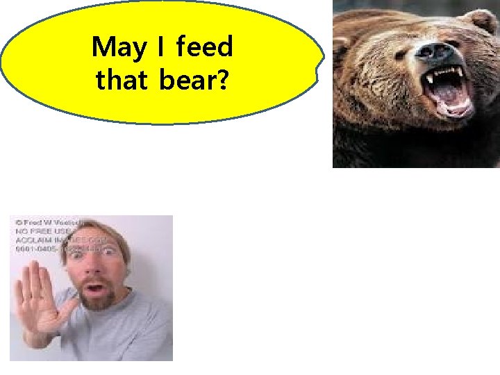May I feed that bear? May I feed that bear?