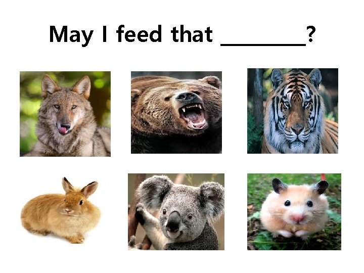 May I feed that _____? May I feed that _____?