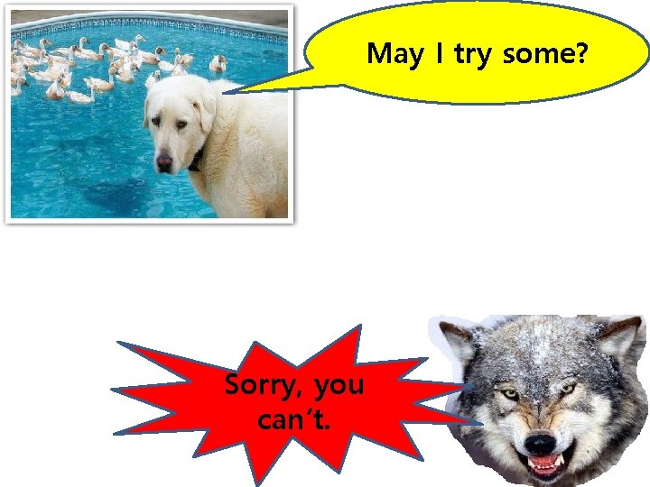 May I try some? Sorry, you can’t. May I try some? Sorry, you can’t.