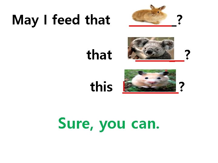 May I feed that rabbit ? koala_ ? this hamster ? Sure, you can. May I feed that rabbit ? koala_ ? this hamster ? Sure, you can.
