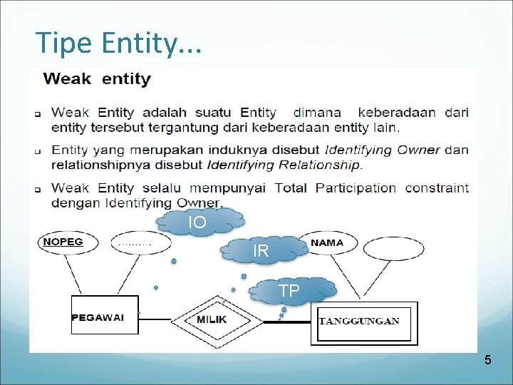 Tipe Entity. . . IO IR TP 5 