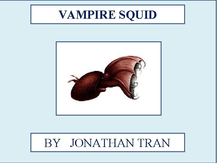 VAMPIRE SQUID BY JONATHAN TRAN 