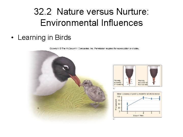32. 2 Nature versus Nurture: Environmental Influences • Learning in Birds 