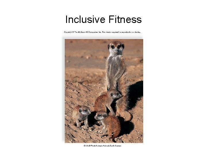 Inclusive Fitness 