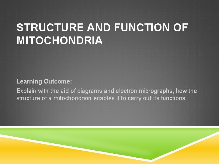 STRUCTURE AND FUNCTION OF MITOCHONDRIA Learning Outcome Explain