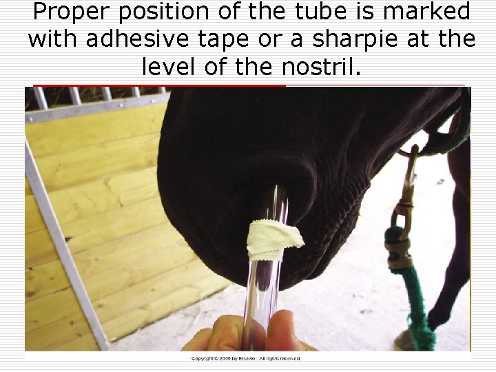 Proper position of the tube is marked with adhesive tape or a sharpie at