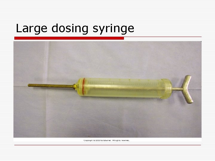 Large dosing syringe 