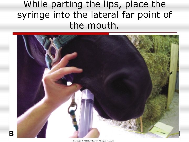 While parting the lips, place the syringe into the lateral far point of the