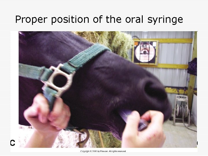 Proper position of the oral syringe 
