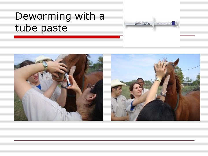 Deworming with a tube paste 