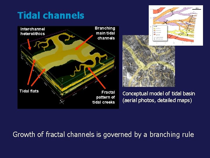 Tidal channels Interchannel heterolithics Tidal flats Branching main tidal channels Fractal pattern of tidal