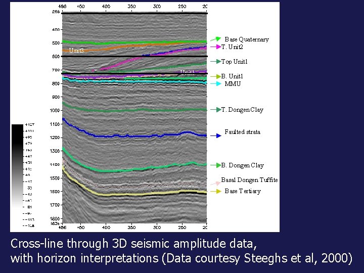 Cross-line through 3 D seismic amplitude data, with horizon interpretations (Data courtesy Steeghs et