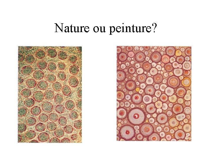 Nature ou peinture? 