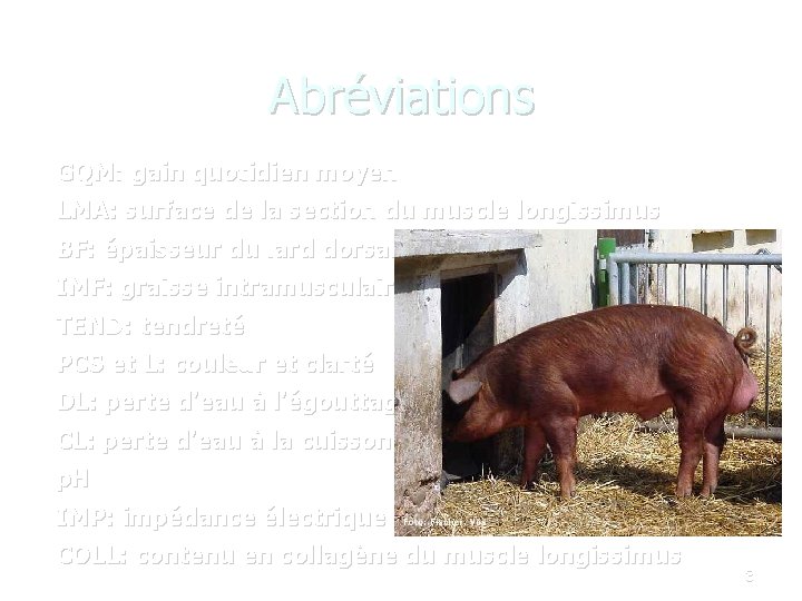 Abréviations GQM: gain quotidien moyen LMA: surface de la section du muscle longissimus BF: