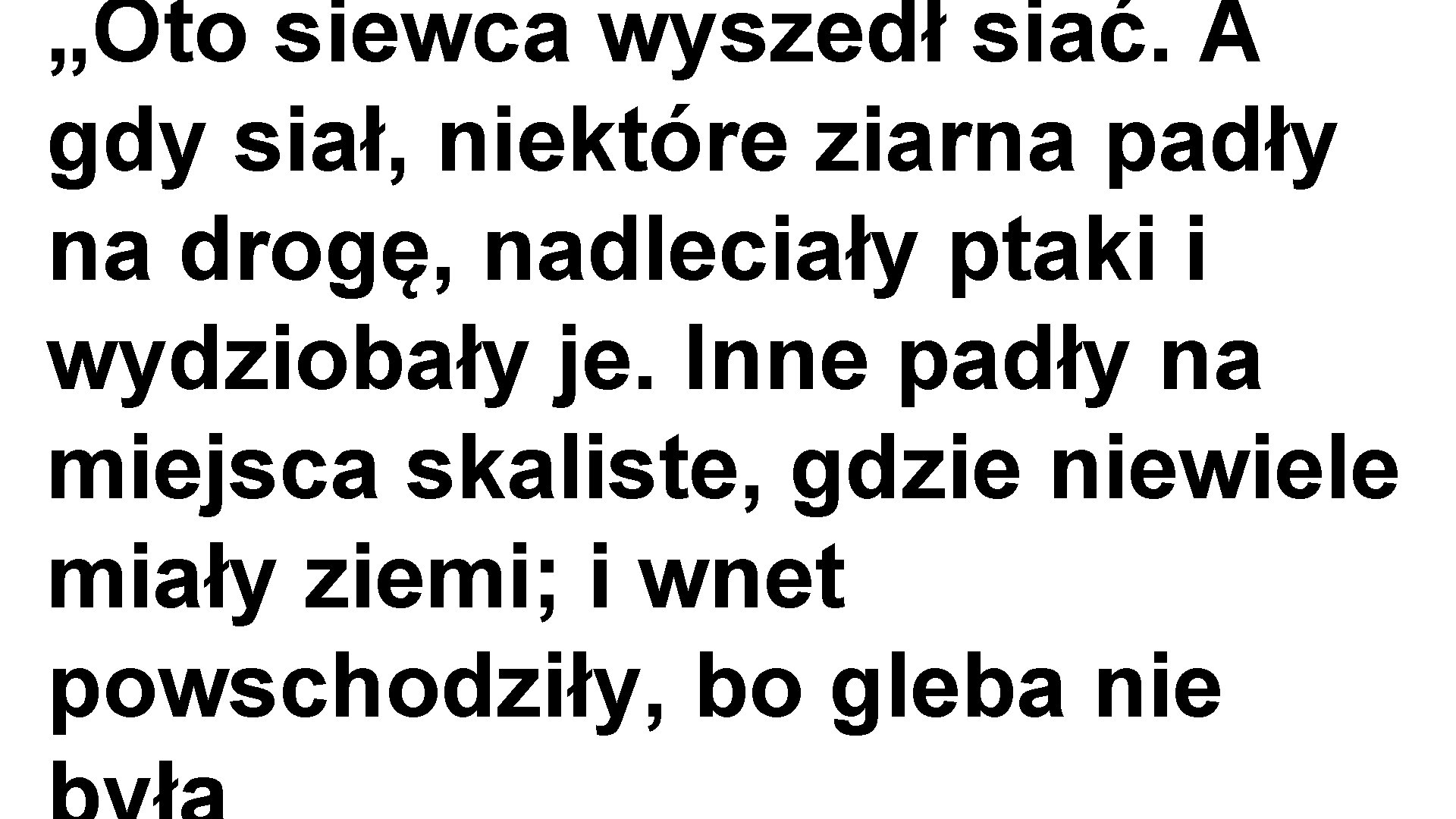 „Oto siewca wyszedł siać. A gdy siał, niektóre ziarna padły na drogę, nadleciały ptaki