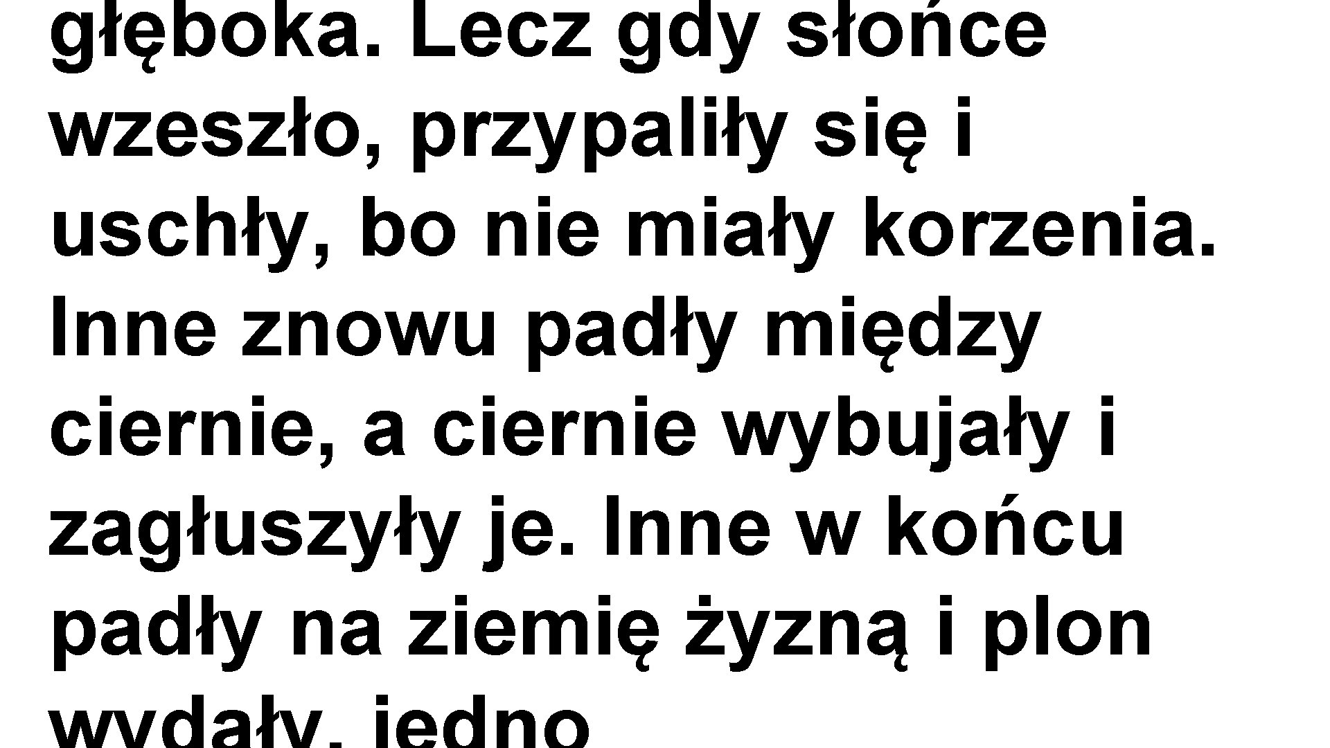 głęboka. Lecz gdy słońce wzeszło, przypaliły się i uschły, bo nie miały korzenia. Inne