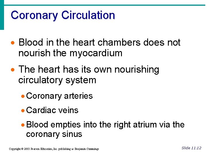 Coronary Circulation · Blood in the heart chambers does not nourish the myocardium ·