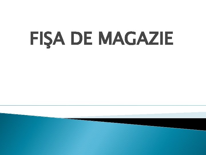 FIŞA DE MAGAZIE 