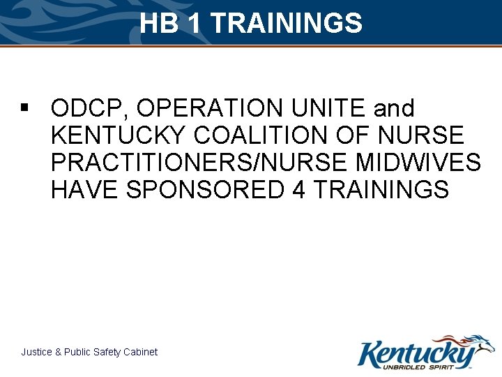 HB 1 TRAININGS § ODCP, OPERATION UNITE and KENTUCKY COALITION OF NURSE PRACTITIONERS/NURSE MIDWIVES