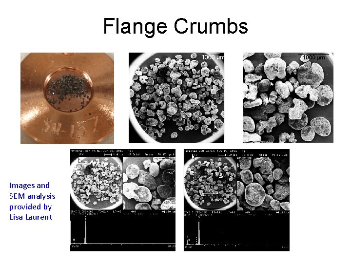 Flange Crumbs Images and SEM analysis provided by Lisa Laurent 