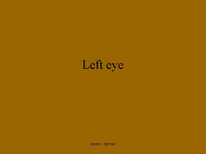 Left eye senses - eye ear 