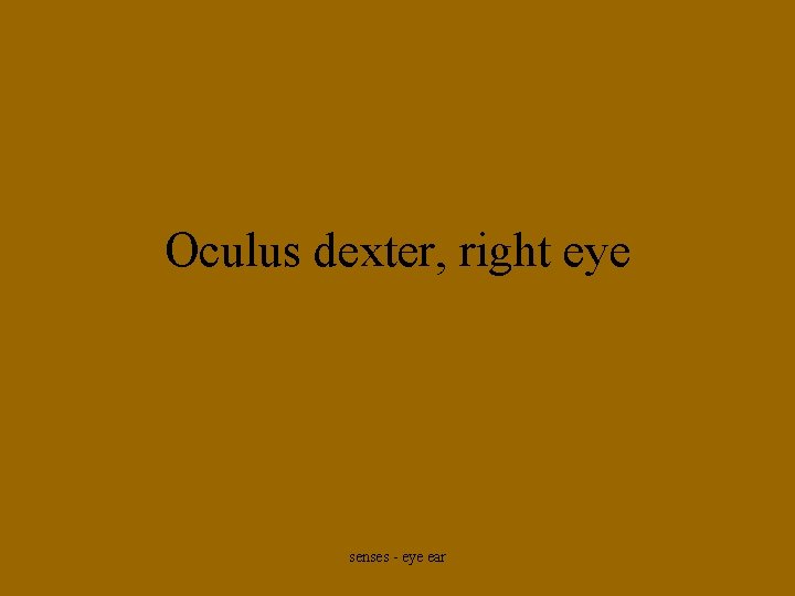 Oculus dexter, right eye senses - eye ear 