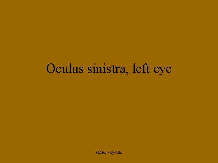 Oculus sinistra, left eye senses - eye ear 