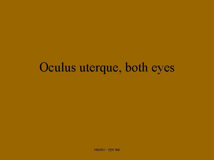 Oculus uterque, both eyes senses - eye ear 
