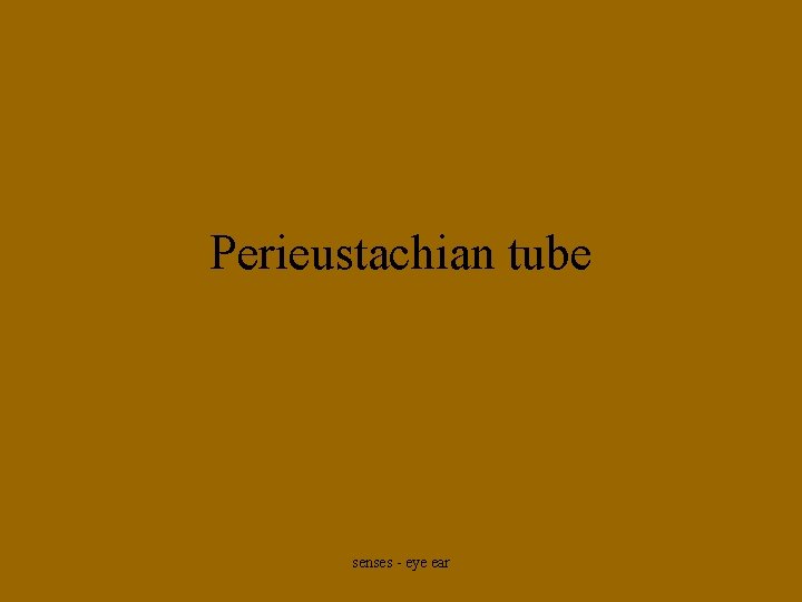 Perieustachian tube senses - eye ear 