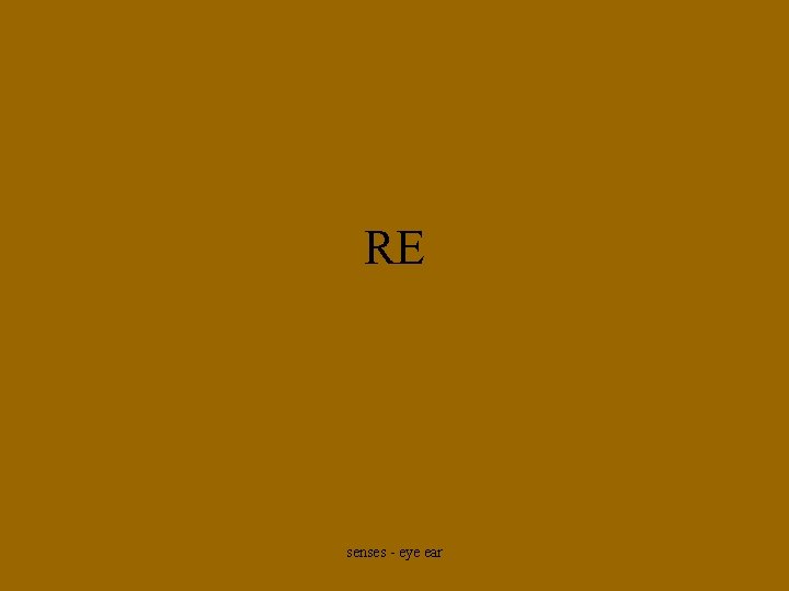 RE senses - eye ear 