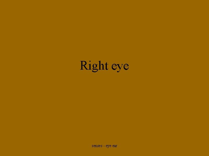 Right eye senses - eye ear 