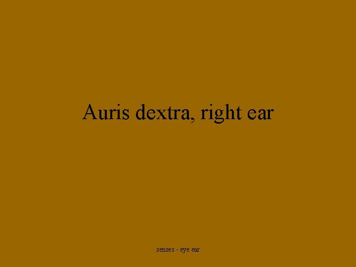 Auris dextra, right ear senses - eye ear 