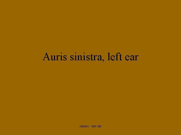 Auris sinistra, left ear senses - eye ear 