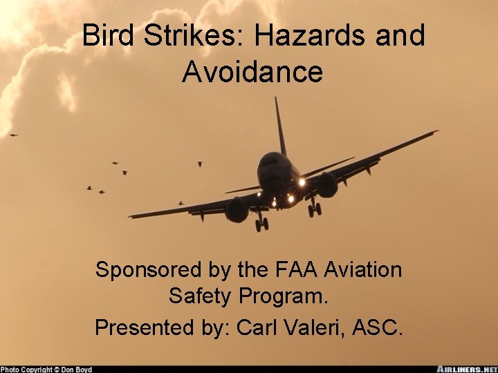 Bird Strikes: Hazards and Avoidance Sponsored by the FAA Aviation Safety Program. Presented by: